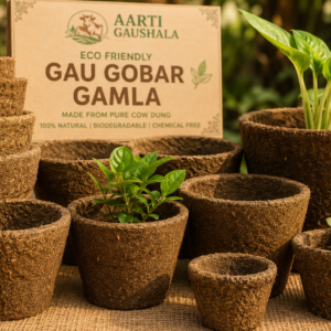 Premium Gau Gobar Gamla made from pure Gir cow dung, eco-friendly biodegradable plant pot by Aarti Gaushala
